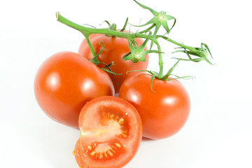 Tomato