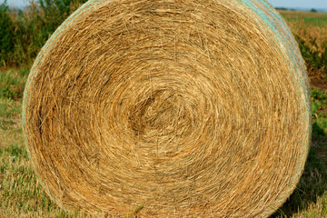 round bale close-up