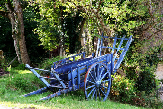 Chariot bleu