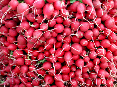 Closeup Of Radishes