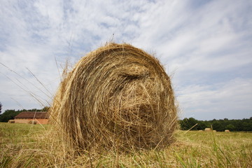 Meule-de-foin