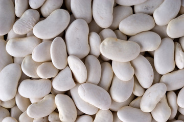 white haricot beans background