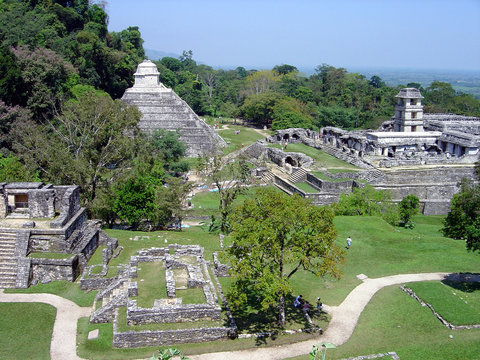 mexique palenque pyramide maya flores yucatan
