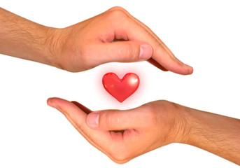 hands with heart isolated on white
