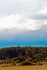 Rural landscape in july