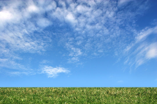 Cloudy sky and field of grass