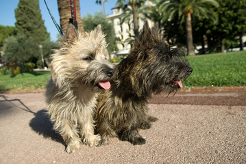 cairn
