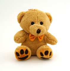 Teddy bear
