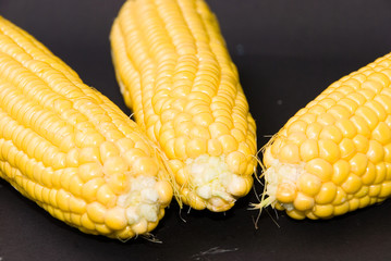 sweet corn 5