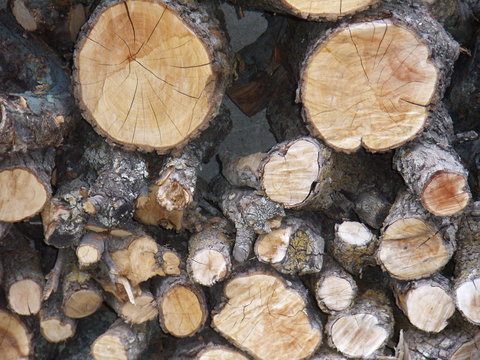 Billot 이미지 찾아보기 171 스톡 사진, 벡터 및 비디오 Adobe Stock