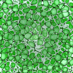 biology cellulate. texture background (green leaf)