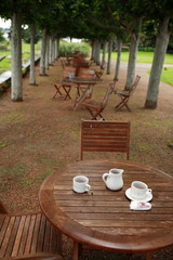 Café au jardin