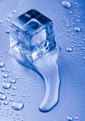 ice cube and water