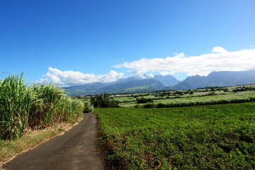 Fototapeta na wymiar tropikalny krajobraz: Circus SILAOS, Reunion