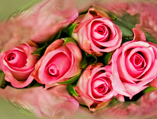 pink roses background