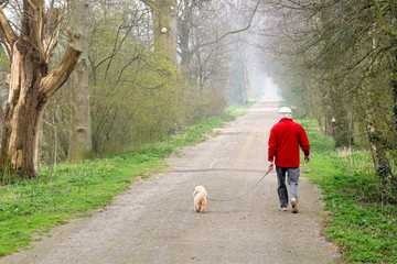 Man walking his dog on a forest path.