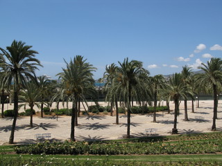 Fototapeta premium Palma,Mallorca,spain