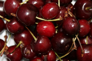 Sweet cherry 3