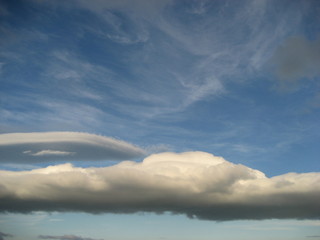 Fototapeta na wymiar Kiwi Cloud