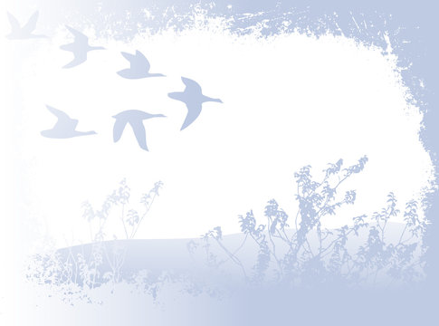flying birds; illustration