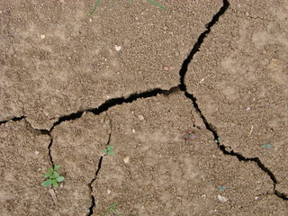 Terre craquelée
