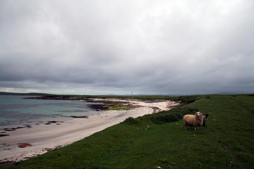 Uninhabited Island of Faray