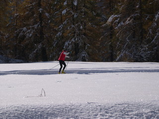Skating de profil