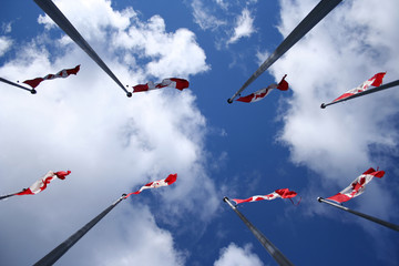 Canadian flags