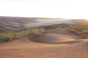 Dunes roses - Désert du Namib - Namibie