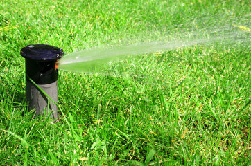working lawn sprinkler - 3842299