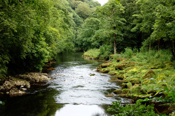 A peaceful setting of the River Wharfe 