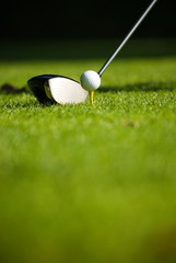 Pratique du sport : Golf 36