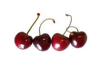 Cherries on a row