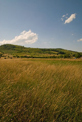 Obraz premium summer landscape