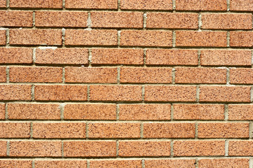Wire Cut Bricks