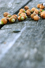 Fototapeta premium A collection of acorns sitting on the picnic table