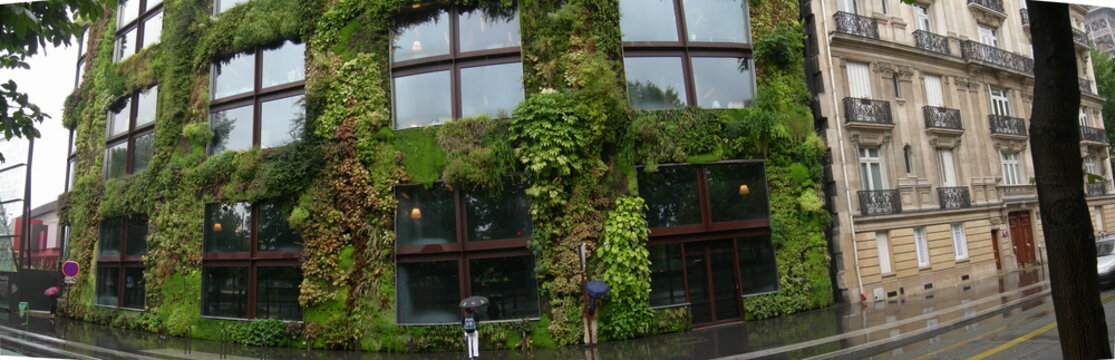 mur vege