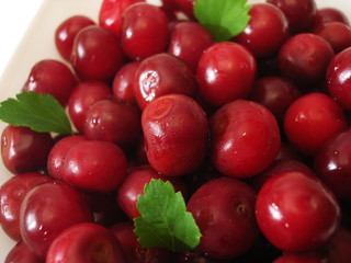 Close-up of fresh cherry in bowl