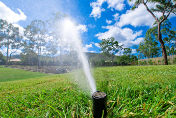 Sprinkler watering lawn grass - obrazy, fototapety, plakaty