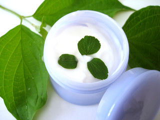container of cosmetic cream with leaves
