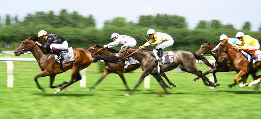 Speed