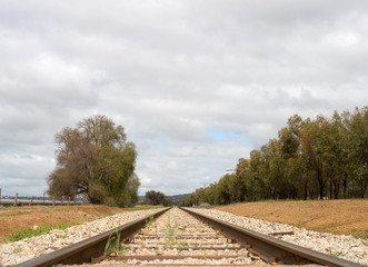 Obraz premium railway track in country