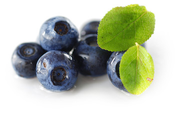 Blueberries over white background. Shallow depth of field.