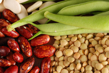 Various types of beans