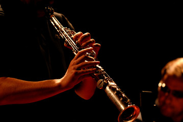 Sax Alto at a Concert
