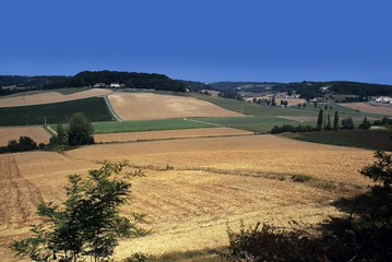 Fototapeta na wymiar farmland midi pyrenees lot valley near cahors