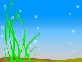 sea grass with bubbles