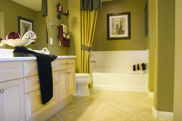 Modern tastefully decorated bathroom