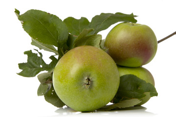 green apple with leaves