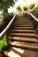 escalier nature, marche en terre et bois 